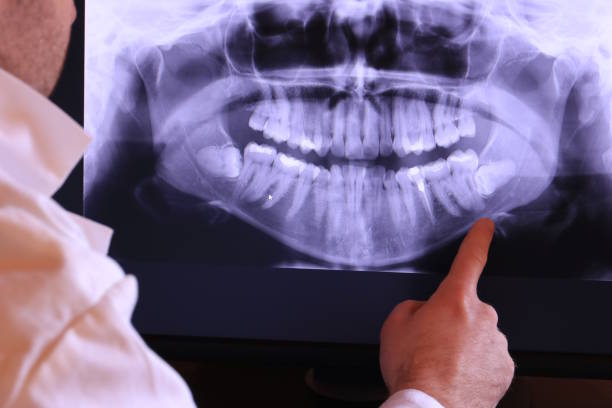 Best Emergency X-Rays and Diagnostics in Portola Valley, CA